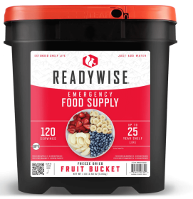 120 Serving Freeze Dried Fruit Bucket