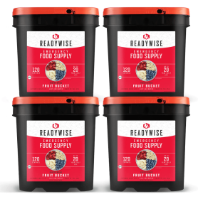 480 Serving Freeze Dried Fruit Bucket (4, 120 serving buckets)