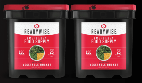 240 Serving Freeze Dried Vegetables (2, 120 serving buckets)