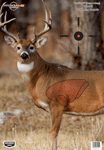 B/C Target Pregame 16.5"X24" (Options: WHITETAIL DEER TARGET 3-TARGTS)