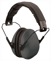 Champion Slim Ear Muffs (Options: PASSIVE 21DB BLACK)