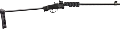 Chiappa Little Badger 22Lr (Options: TAKE DOWN EXTREME 16.5" MATTE)