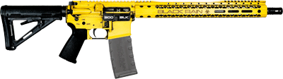 Black Rain Spec+ Patriot Rifle (Options: 300BLK 16" GADSDEN FLAG 30RD)