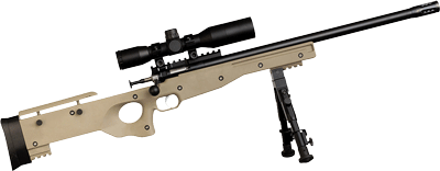 Crickett Precision Rifle 22Lr (Options: BLUED/FDE THREADED W/SCOPE)