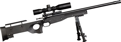 Crickett Precision Rifle 22Lr (Options: BLUED/BLACK THREADED W/SCOPE)