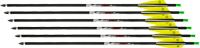 Tenpoint Xbow Arrow Pro Elite (Options: 400 20" CARBON ALPHA NOCK 6PK)
